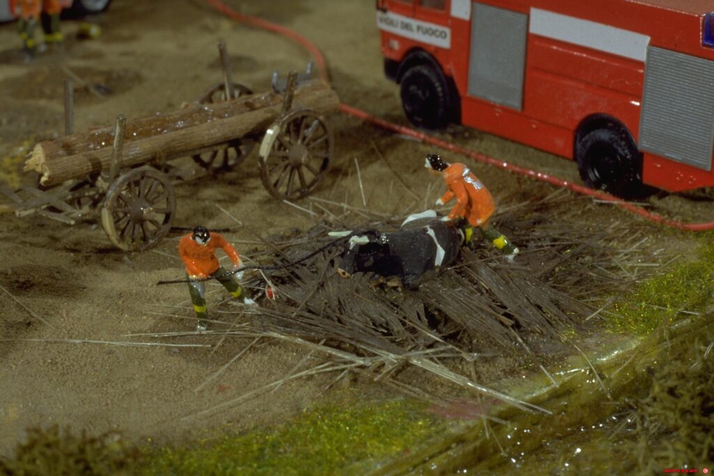 Image00001