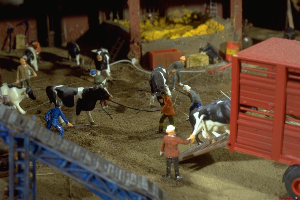 Image00004
