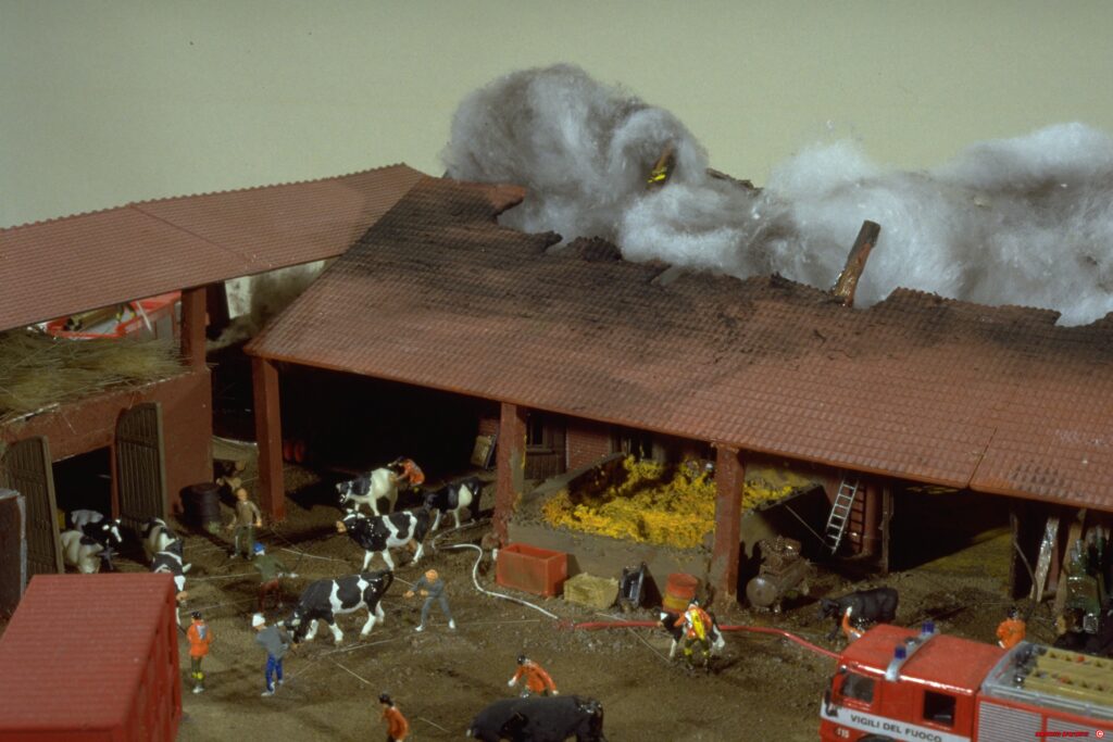 Image00005