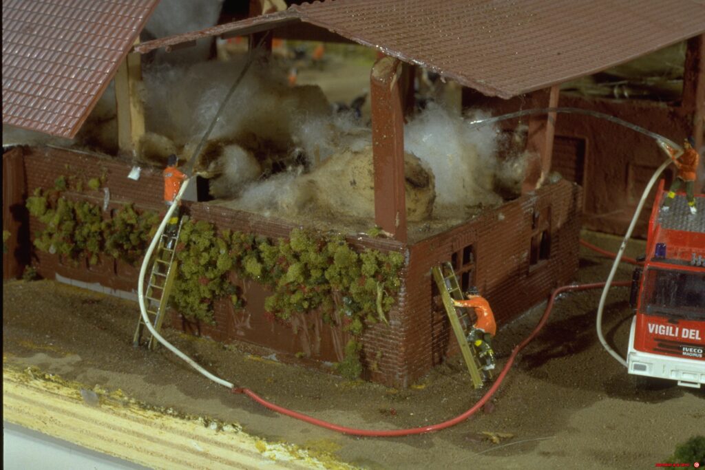 Image00006